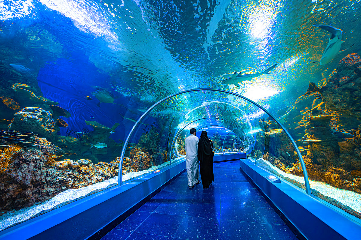 couple walking through the glass tunnel at Fakieh Aquarium
